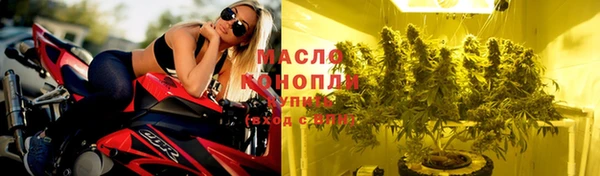 дмт Аркадак