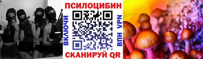 Псилоцибиновые грибы Psilocybine cubensis  Купить где  Лянтор 